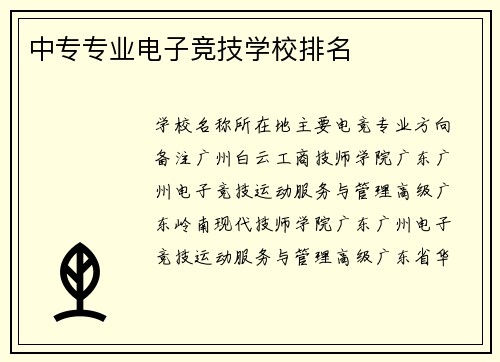 中专专业电子竞技学校排名